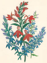 Load image into Gallery viewer, Loudon, Jane Wells  "Plate 65"