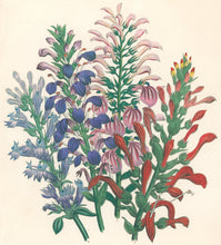 Load image into Gallery viewer, Loudon, Jane Wells  "Plate 66"