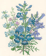 Load image into Gallery viewer, Loudon, Jane Wells  "Plate 85"
