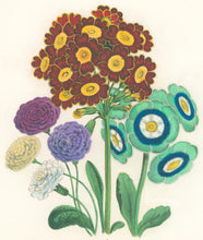 Load image into Gallery viewer, Loudon, Jane Wells  "Plate 94"