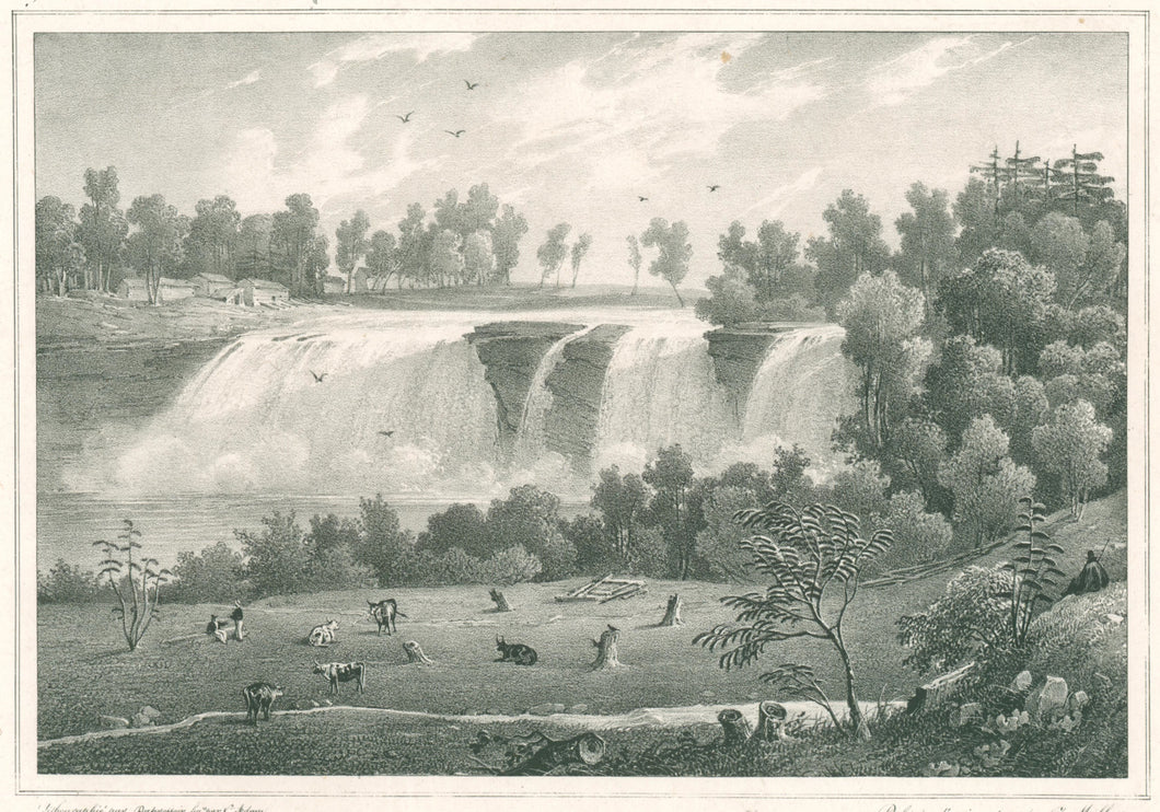Milbert, Jacques Gerard “Falls of the Genesee Rivers.” [Rochester, NY]