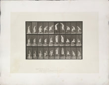 Load image into Gallery viewer, Muybridge, Eadweard “Getting on and off table, #7” Pl. 513