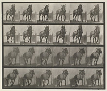 Load image into Gallery viewer, Muybridge, Eadweard “Hauling, Billy” Plate 568