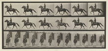 Load image into Gallery viewer, Muybridge, Eadweard “Racking, saddle, Pronto” Pl. 593