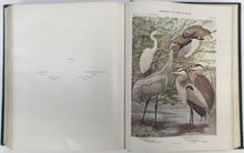 Load image into Gallery viewer, Eaton, Elon Howard  "Memoir 12. Second Edition. Birds of New York.  Part 1"