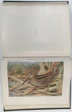 Load image into Gallery viewer, Eaton, Elon Howard  "Memoir 12. Second Edition. Birds of New York.  Part 1"