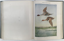 Load image into Gallery viewer, Eaton, Elon Howard  "Memoir 12. Second Edition. Birds of New York.  Part 1"