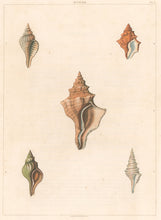 Load image into Gallery viewer, Clarke, John “Monoplex.” Plate 3.