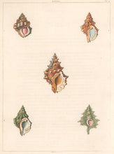 Load image into Gallery viewer, Clarke, John  “Biplex.”  Plate 4.