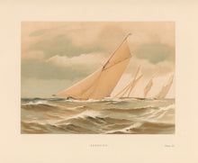 Load image into Gallery viewer, Shields, Henry "Annasona." Plate XI