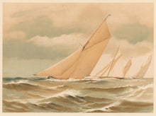 Load image into Gallery viewer, Shields, Henry "Annasona." Plate XI