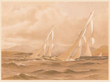 Load image into Gallery viewer, Shields, Henry "Marguerite” & “Queen Mab." Plate XIX