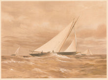 Load image into Gallery viewer, Shields, Henry "Doris." Plate XXV