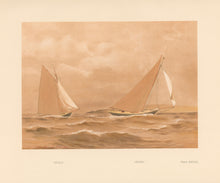 Load image into Gallery viewer, Shields, Henry "Ariel” & “Coila" Plate XXVIII