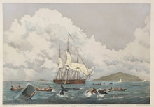 Load image into Gallery viewer, Huggins, W.J. "South Sea Whale Fishery."