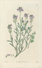 Load image into Gallery viewer, Smith, E.D.  Plate 69