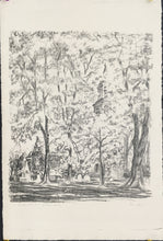 Load image into Gallery viewer, White, Theo Ballou “Bruton Church, Williamsburg”
