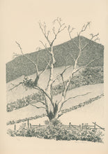 Load image into Gallery viewer, White, Theo Ballou “Dead Chestnut.”  [Appalachia]
