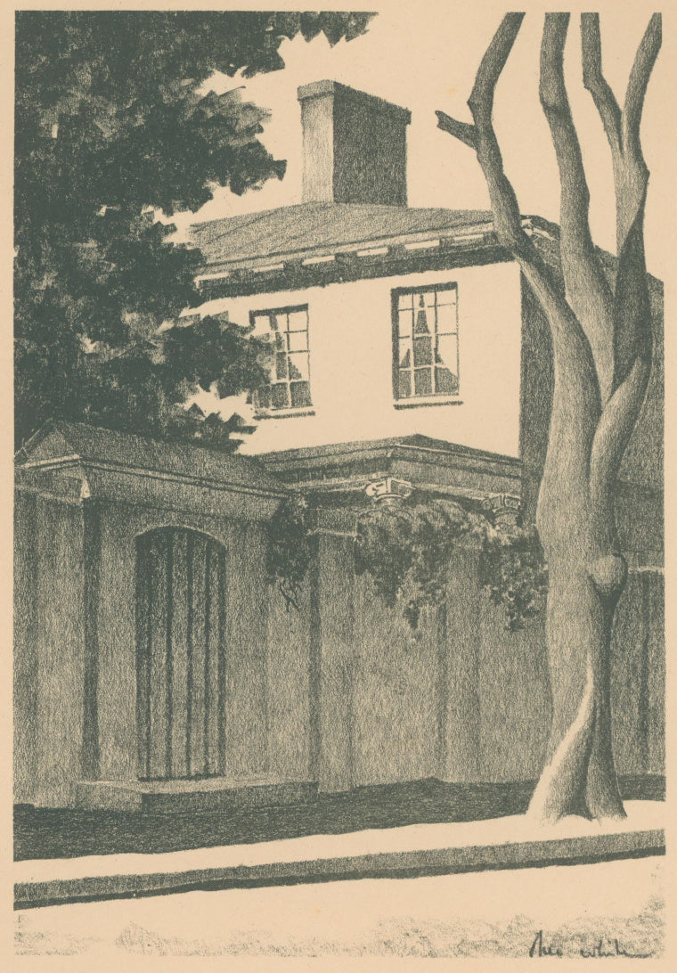 White, Theo Ballou [A magnolia tree, a wall, and a gate] Title page
