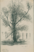 Load image into Gallery viewer, White, Theo Ballou “Willow Tree, Roaring Creek”