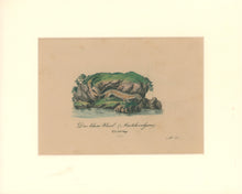 Load image into Gallery viewer, Büchner, J.L. [Little Weasel]
