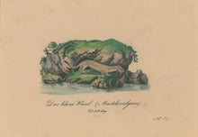 Load image into Gallery viewer, Büchner, J.L. [Little Weasel]
