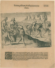 Load image into Gallery viewer, De Bry, Theodor. Pl. 23 [Bringing in Wild Animals, Fish, and Other Stores]
