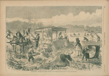 Load image into Gallery viewer, Davis, Theodore R. "Strawberry Culture, New Jersey-Pickers in the Field"
