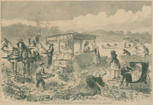 Load image into Gallery viewer, Davis, Theodore R. "Strawberry Culture, New Jersey-Pickers in the Field"
