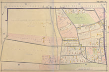 Load image into Gallery viewer, Mueller, A.H. [Haverford] Plate 11
