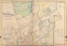 Load image into Gallery viewer, Mueller, A.H. [Bryn Mawr College] Plate 12
