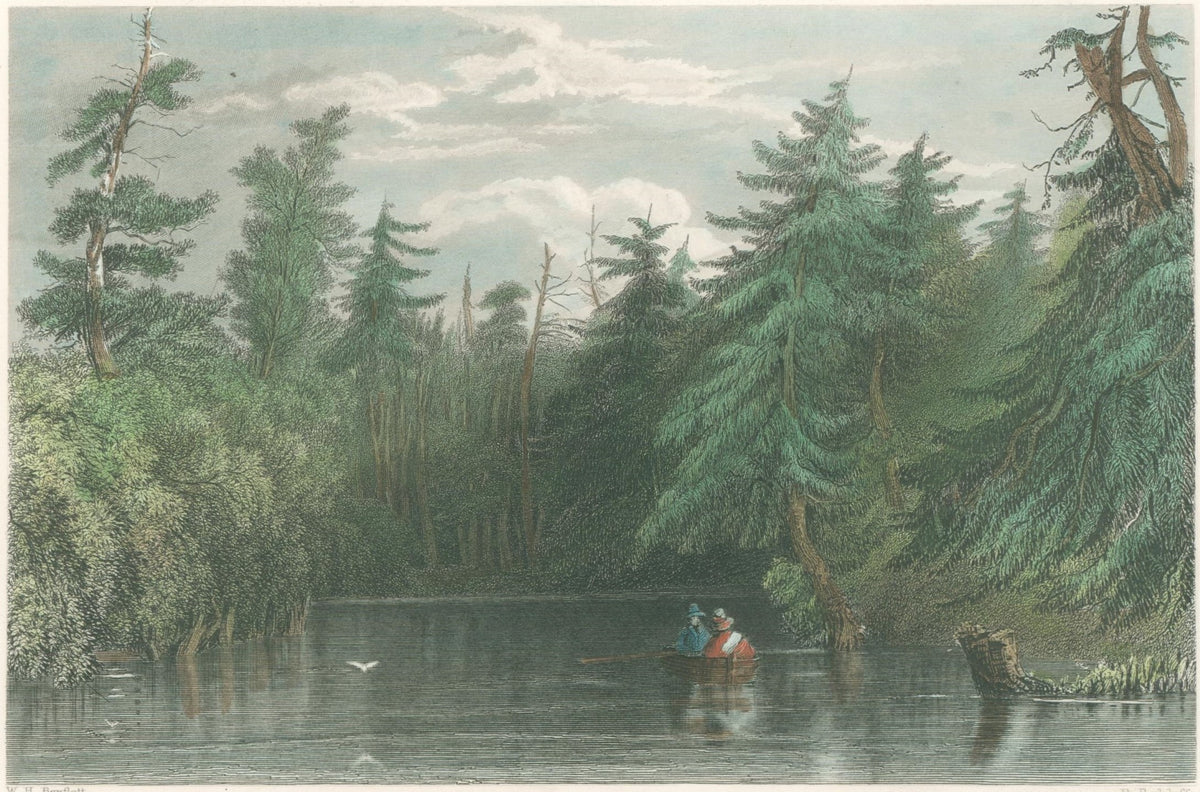 Bartlett, William Henry “Barhydt’s Lake (Near Saratoga)” [near Adirond