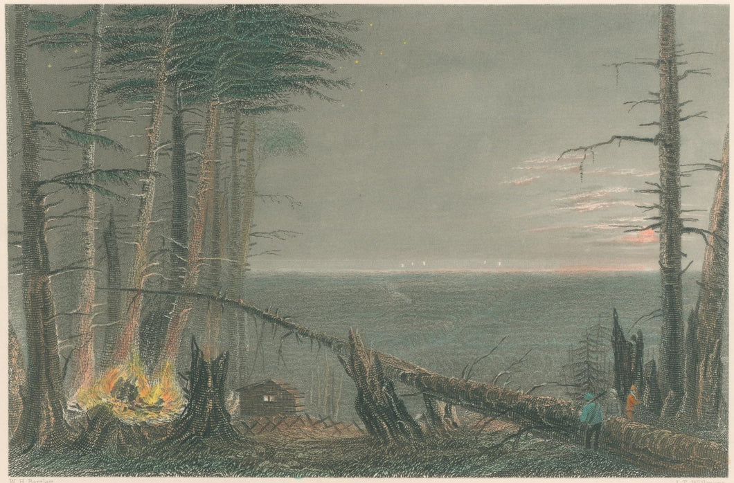 Bartlett, William Henry  “Forest On Lake Ontario”  [New York]