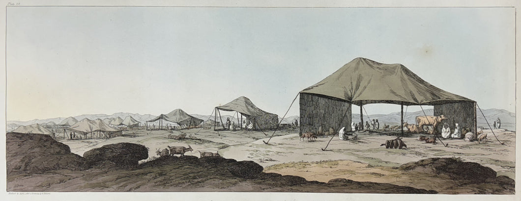 Belzoni, Giovanni Battista.  Plate 25.  “Bedouins Camp