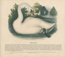 Load image into Gallery viewer, Whymper, Josiah Wood  “The Swan.” Plate 54
