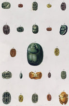 Load image into Gallery viewer, Denon, Vivant  Plate T.36A  [Various Egyptian Scarabs]
