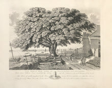 Load image into Gallery viewer, Lehman, George  “The Great Elm Tree of Shackamaxon (Now Kensington)”
