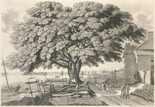 Load image into Gallery viewer, Lehman, George  “The Great Elm Tree of Shackamaxon (Now Kensington)”
