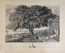 Load image into Gallery viewer, Lehman, George “The Great Elm Tree of Shackamaxon (Now Kensington)”
