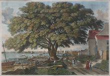 Load image into Gallery viewer, Lehman, George &quot;The Great Elm Tree of Shackamaxon (Now Kensington)&quot;
