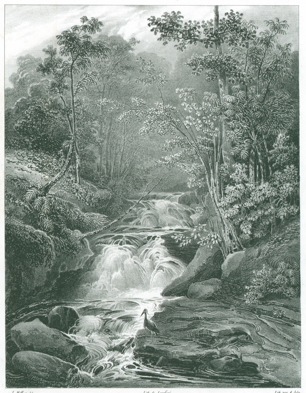 Milbert, Jacques Gerard “Chutes de Therese pres la riviere St. Laurent”  [Jefferson County, NY]