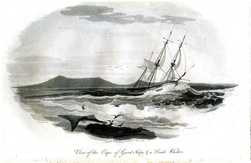 Daniell, S. “View of the Cape of Good Hope & a South Whaler