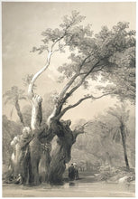 Load image into Gallery viewer, Roberts, David   &quot;The Holy Tree, Metereah&quot;  [Egypt]
