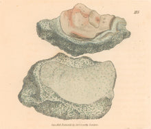 Load image into Gallery viewer, Sowerby, James Pl. 185. From &quot;British Mineralogy: or Coloured Figures intended to elucidate the Mineralogy of Great Britain&quot;
