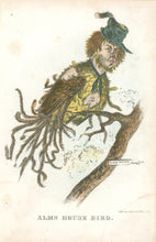 Load image into Gallery viewer, Stephens, Henry L. “Alms House Bird.”  [a type] From &quot;The Comic Natural History of the Human Race&quot;
