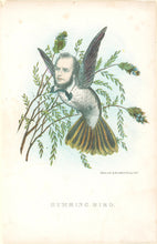 Load image into Gallery viewer, Stephens, Henry L. “Humming Bird.”  [soft spoken man] From &quot;The Comic Natural History of the Human Race&quot;
