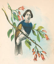 Load image into Gallery viewer, Stephens, Henry L. “Taylor Bird.” [Mary Cecilia Taylor, singer] From &quot;The Comic Natural History of the Human Race&quot;
