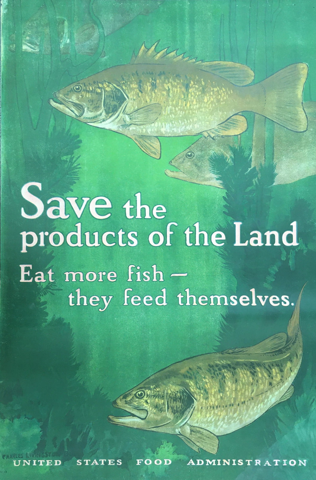 Bull, Charles Livingston  “Save the products of the Land.  Eat more fish-they feed themselves”