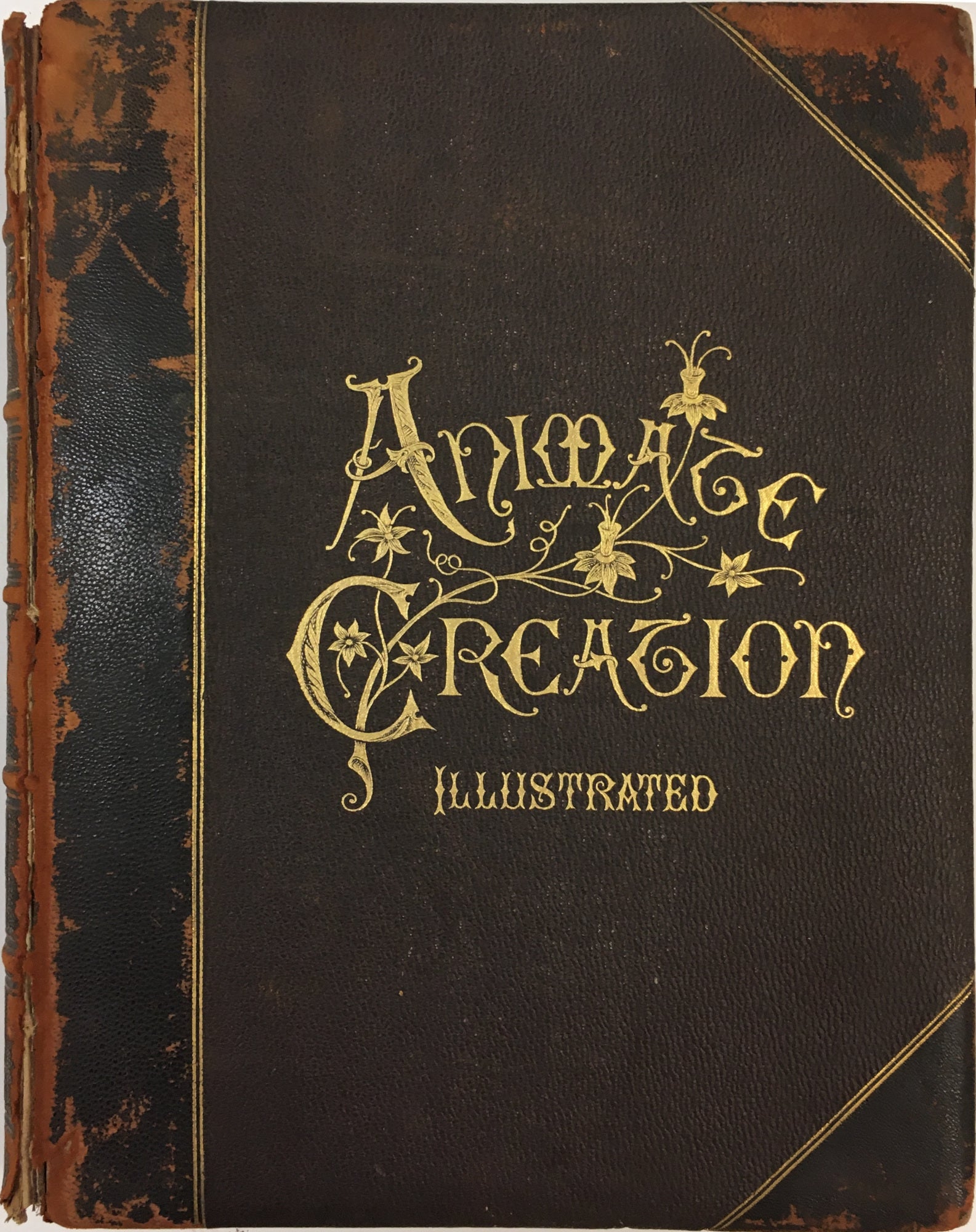Natural History Rare Books – Philadelphia Print Shop