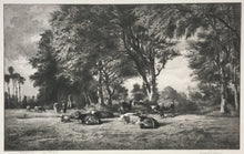 Load image into Gallery viewer, Bicknell, W.H.W. [Cattle at rest near a glade]

